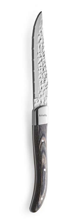 amefa-steakmes-golf-2520-royal-steak-25-5-cm_