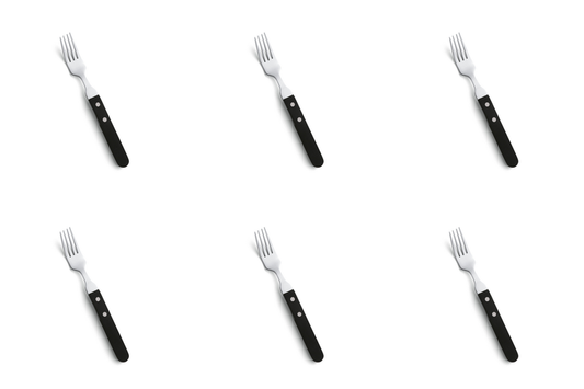 amefa-steakvork-7000-steak-20-1-cm-kunststof-rvs-zilver-6-stuks_