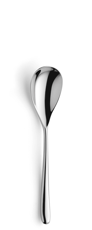 amefa-premiere-dessertlepel-8090-newton-18-4-cm-18-10-zilver-1-stuk_