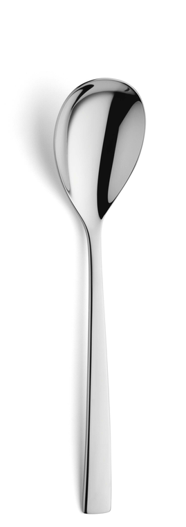 amefa-premiere-slalepel-9065-aurora-21-cm-18-10-zilver-1-stuk_
