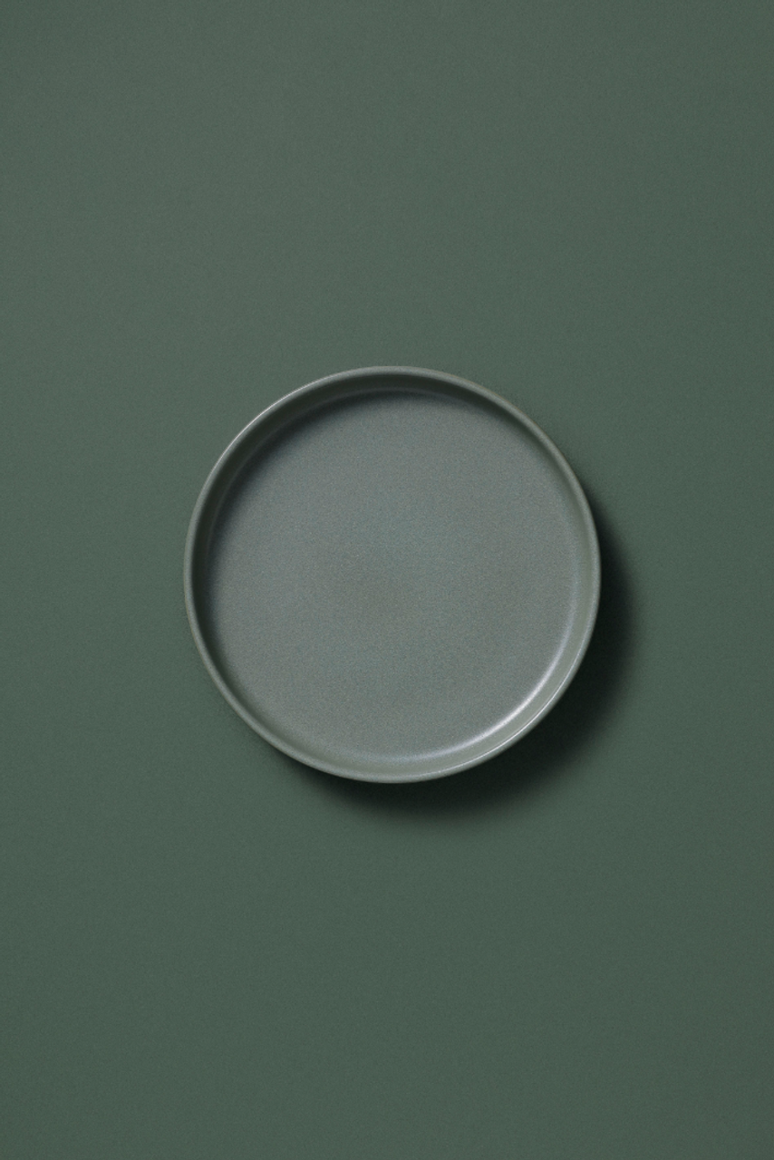 Palmer plate Sandy Loam 22 cm Stoneware Green
