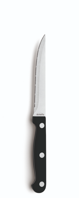 amefa-steakmes-7025-steak-21-7-cm-kunststof-rvs-6-stuks_