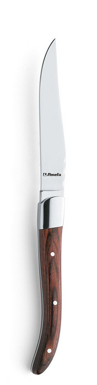 amefa-steakmes-fijne-kartel-hout-2520-royal-steak-23-cm-kunststof-rvs-13-0-kunststof-1-stuk_