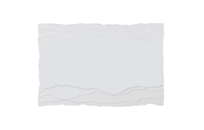 Rectangular Plate 067 0017 10 1/4 x 7 in (26 x 18 cm)